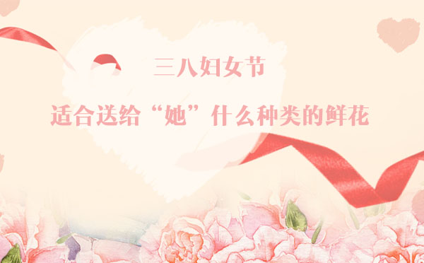 三八婦女節，適合送給“她”什么種類的鮮花？