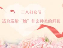 三八婦女節，適合送給“她”什么種類的鮮花？